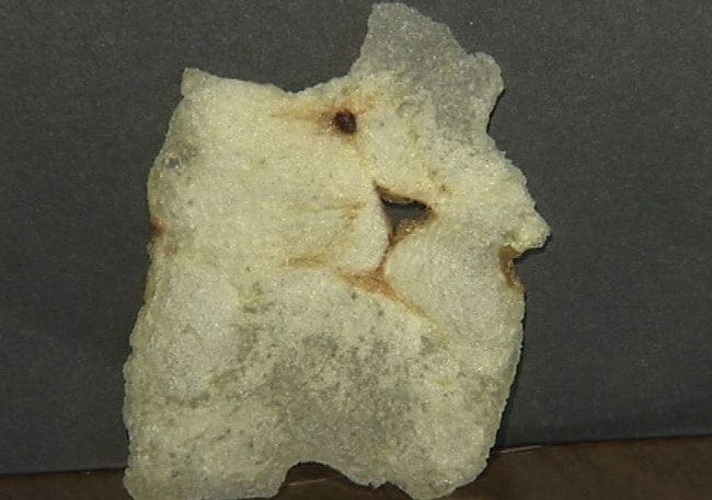 Crisp that looks like a cat